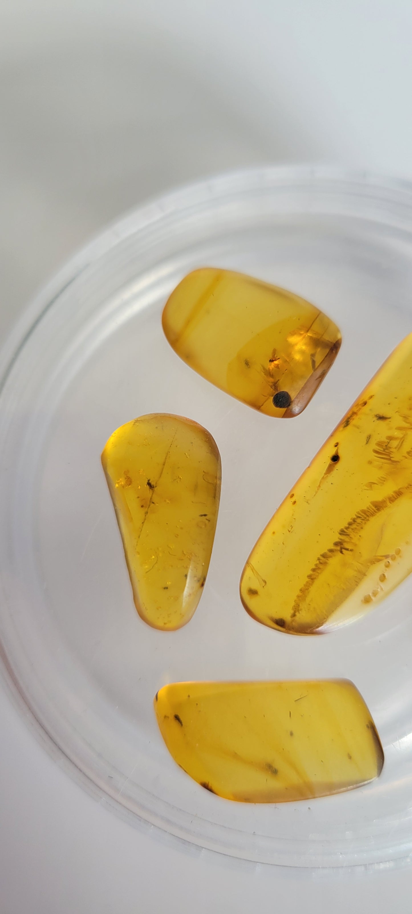 4.62G Bundle of high quality Burmese Amber (3+ Bugs)