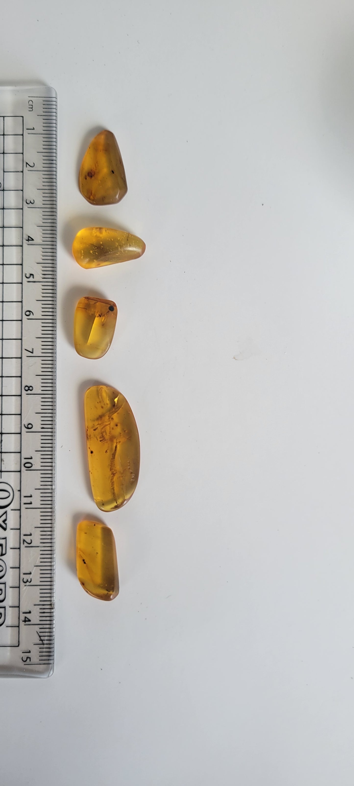 4.62G Bundle of high quality Burmese Amber (3+ Bugs)