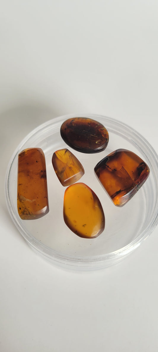 9.5G Bundle Of Burmese Amber (2+ Bugs)