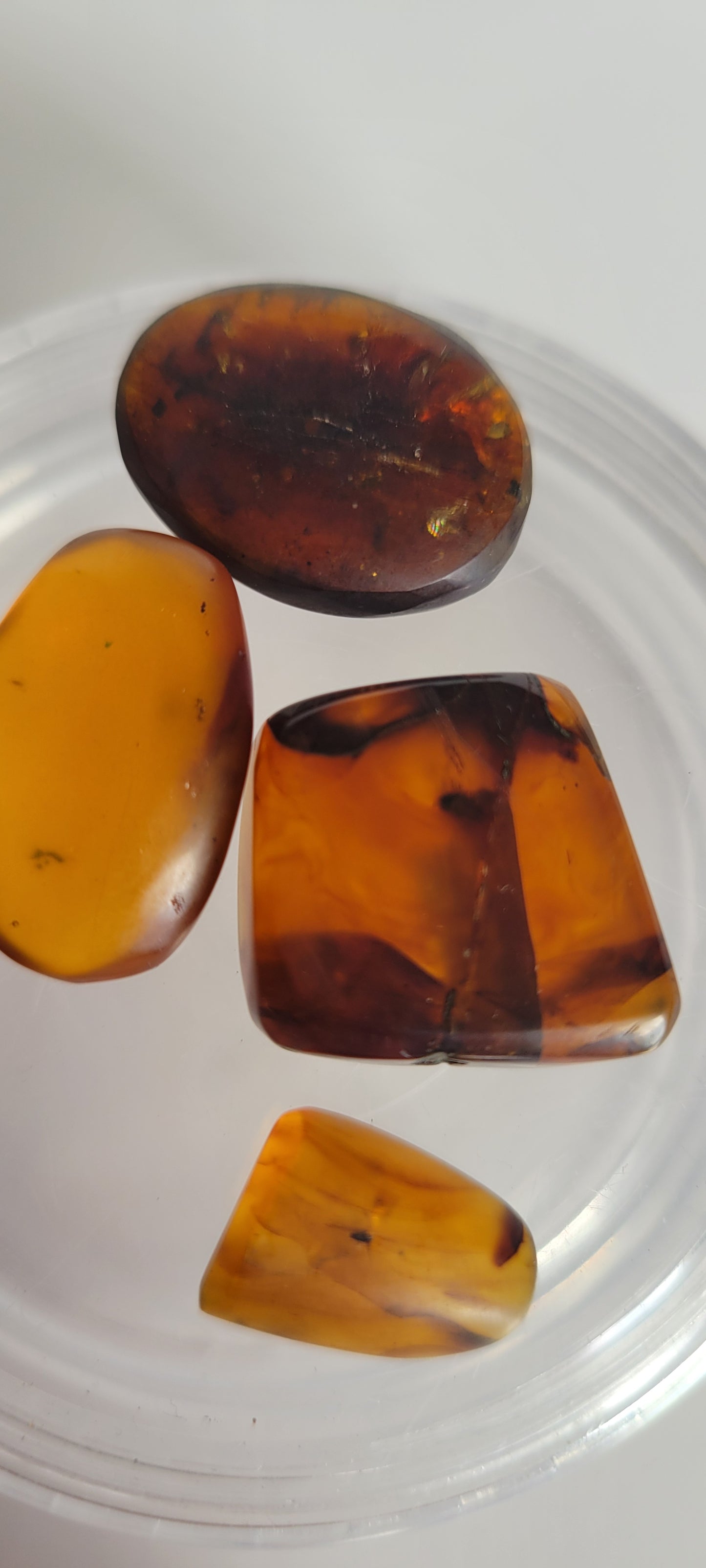 9.5G Bundle Of Burmese Amber (2+ Bugs)