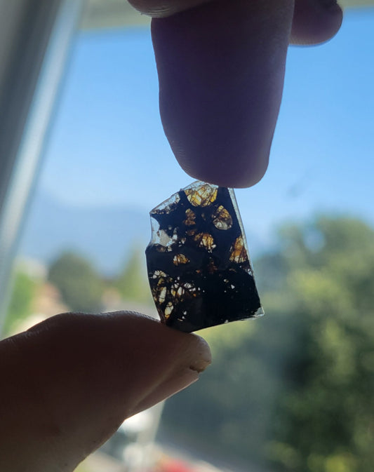 4.2ct Sericho Pallasite Meteorite Slice