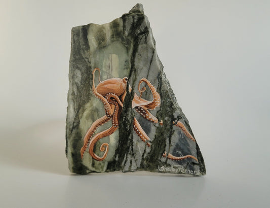 Octopus Painting On Green Marble