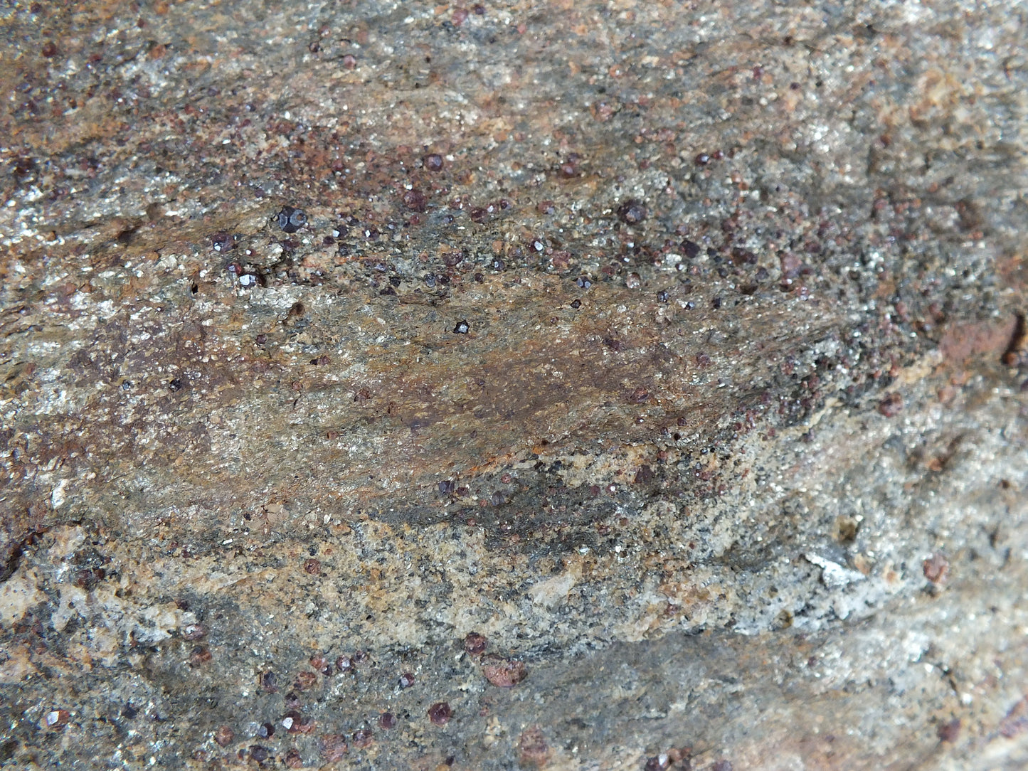 Garnet Mica Schist Slab