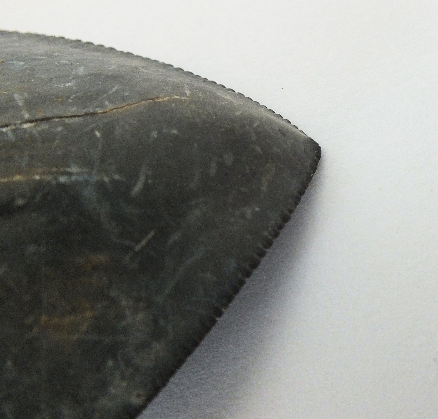 4.0" Megalodon Tooth Blade