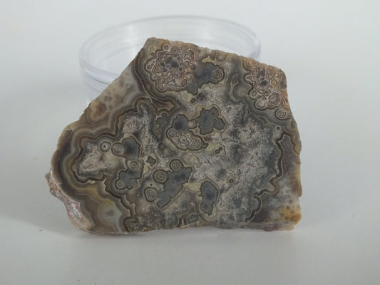 24.4g Mexicran Crazy Lace Agate Slab