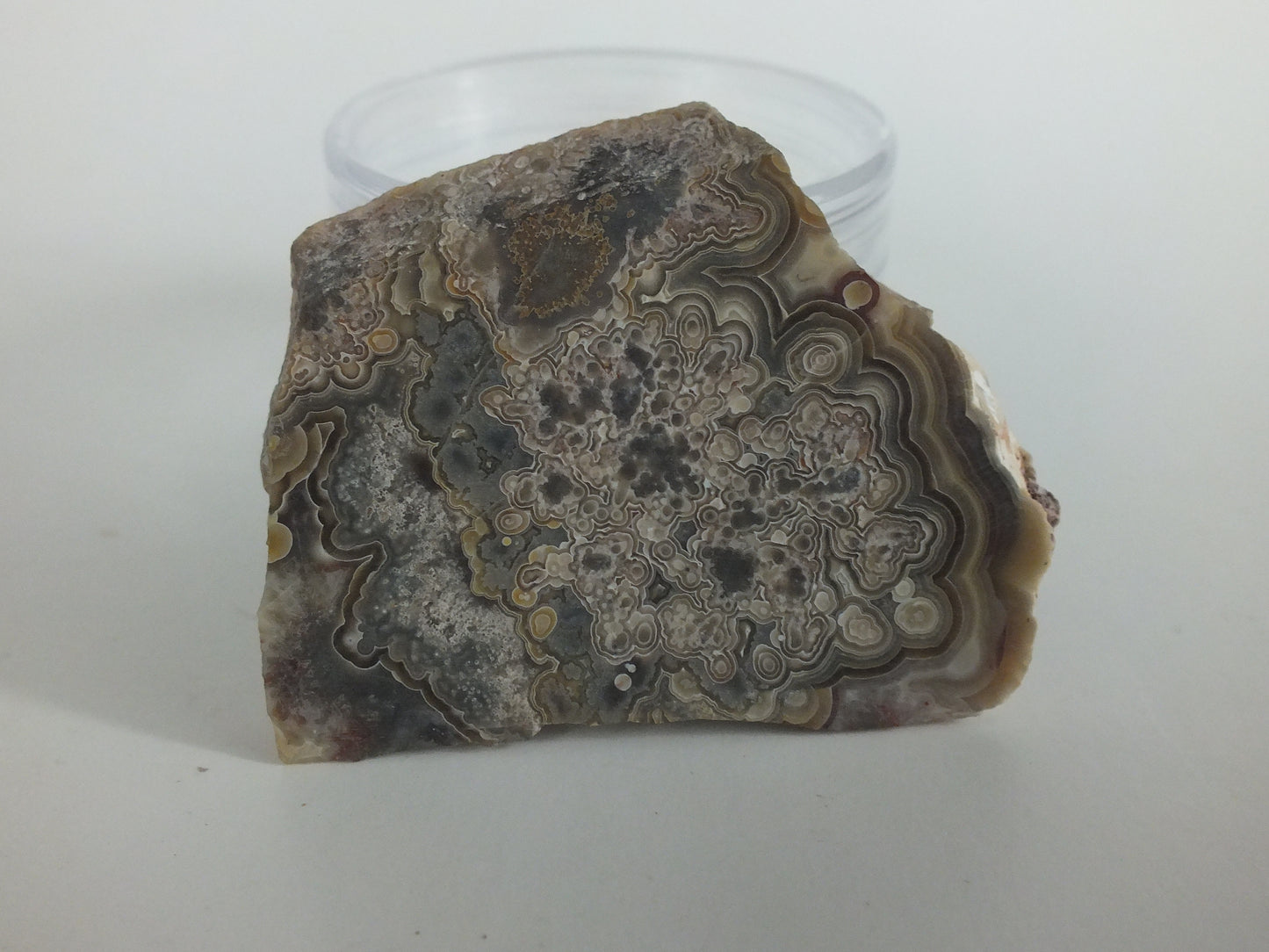 24.4g Mexicran Crazy Lace Agate Slab