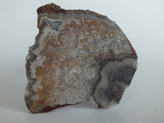 49.53g Mexican Crazy Lace Agate Slab