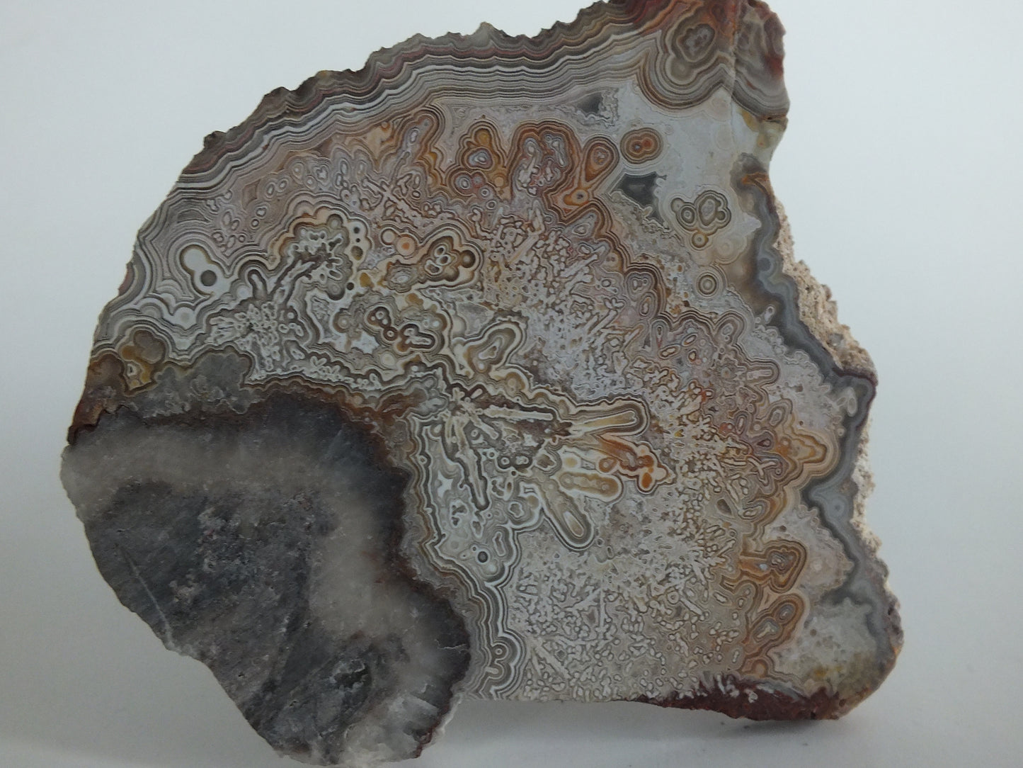 49.53g Mexican Crazy Lace Agate Slab