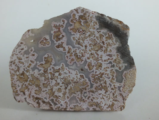 62.10g Mexican Crazy Lace Agate Slab