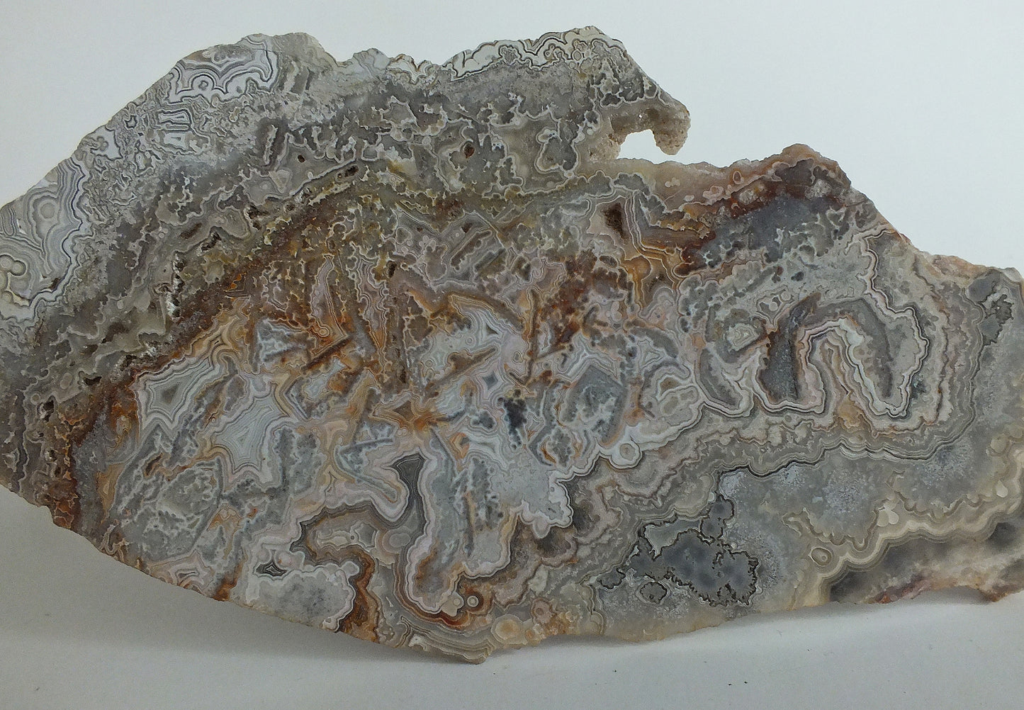 9.5x8.0 cm Mexican Crazy Lace Agate Slab