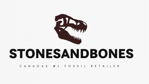 Stonesandbones