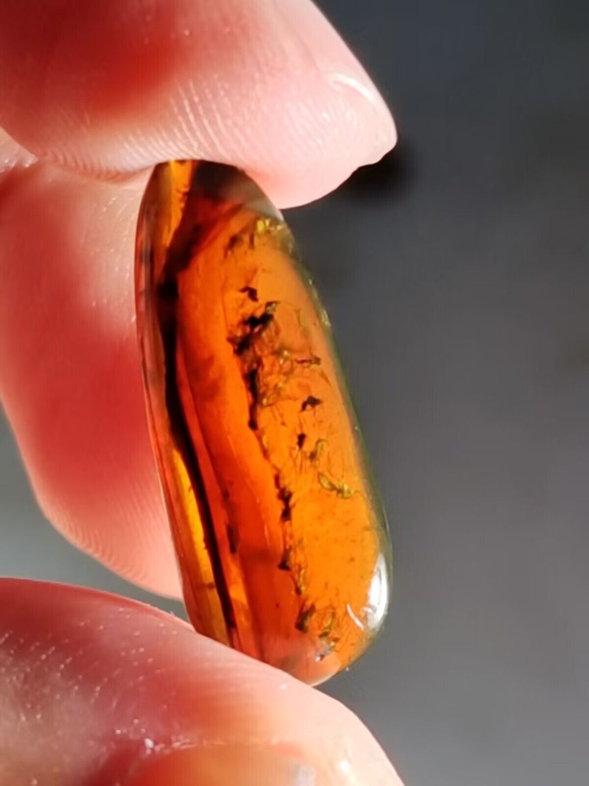 1.2g Burmese Amber (With Multiple Bugs)