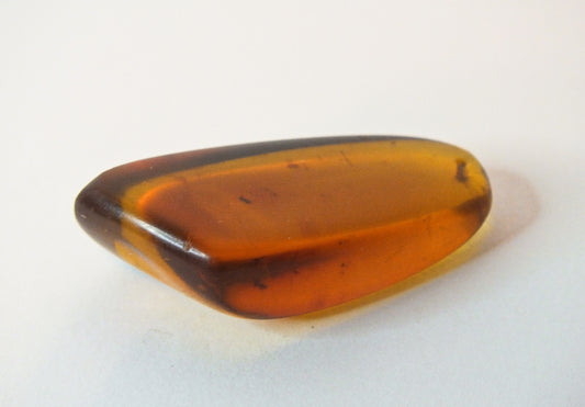 4.9g Polished Baltic Amber Pendant