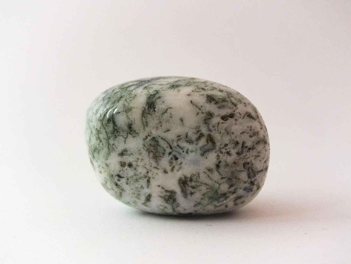 Tumbled Tree Agate