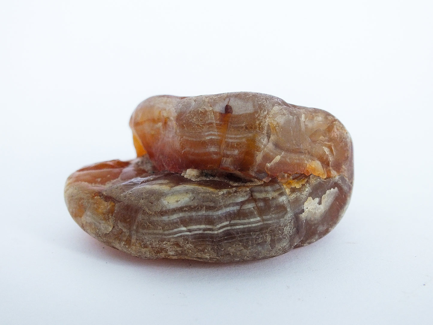 53g Fraser River Agate