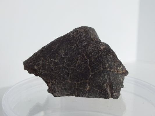 34.1g Stony Chondrite Meteorite