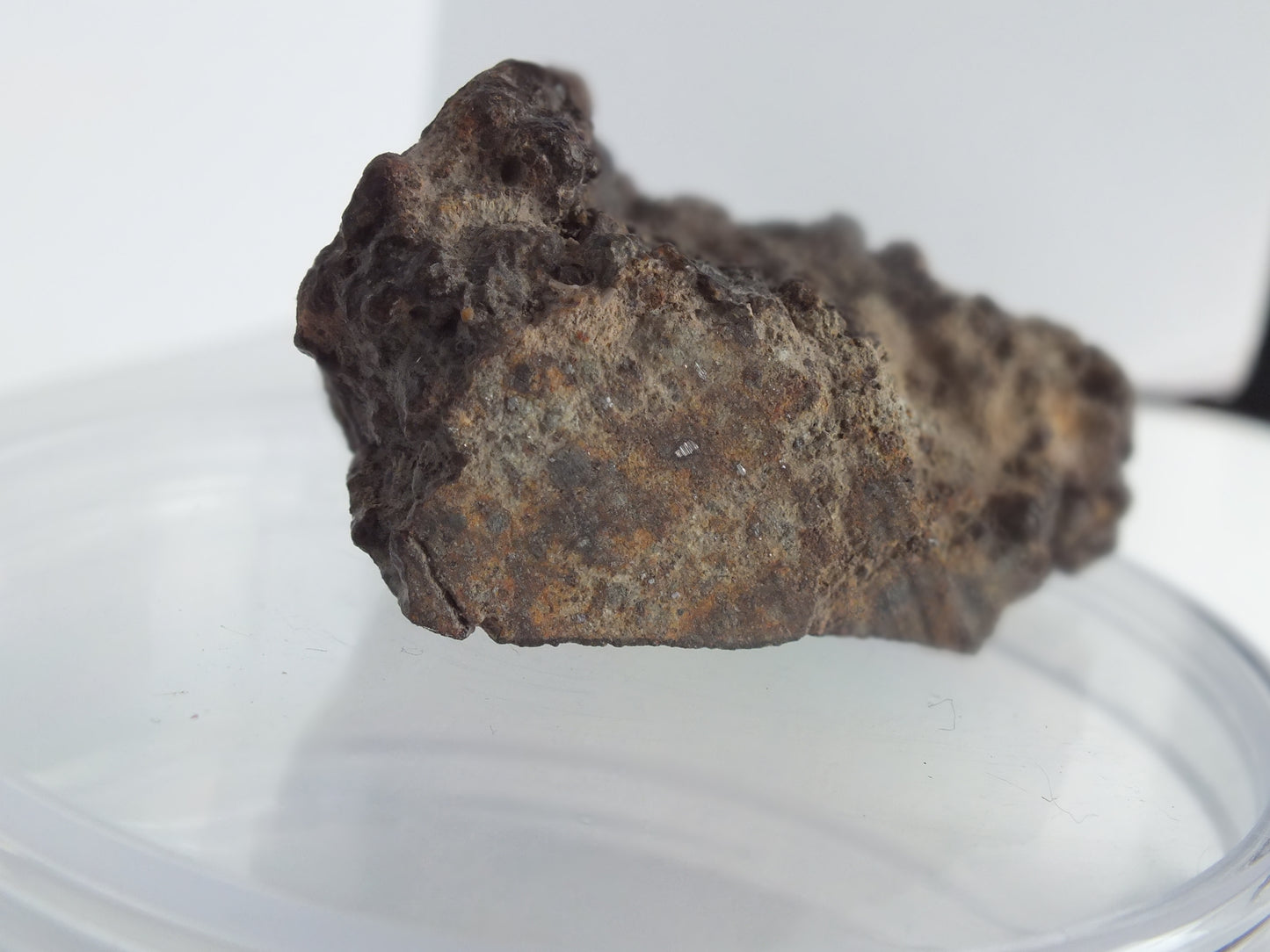 34.1g Stony Chondrite Meteorite