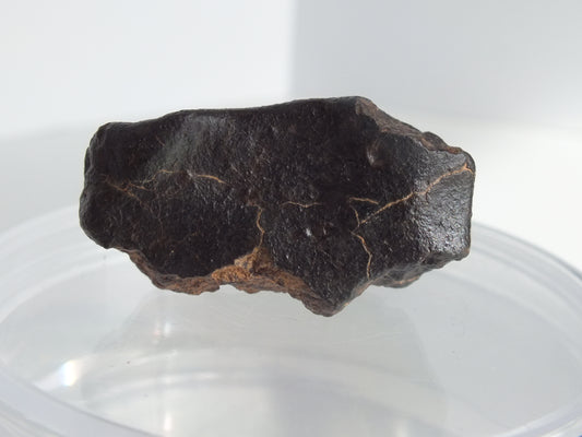 21.8g Stony Chondrite Meteorite