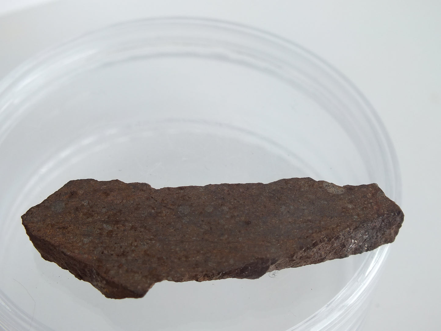 12g Chondrite Meteorite Slab